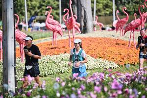 BIB: 
                            <button type="button" onclick="openModal(27794414)" class="btn btn-primary btn-sm float-right btn-popup" data-toggle="modal" data-target=".modal-high-quality">
                        <i class="fas fa-shopping-cart"></i> Add to Cart
                    </button>
                                            <button type="button" onclick="isThisMe(27794414, true)" class="btn btn-success btn-sm float-right btn-popup btn-isme hidden" data-toggle="tooltip" data-placement="bottom" title="นี่คือรูปของคุณใช่ไหม คลิกที่นี่เพื่อเอาเข้าอัลบั้ม">
                        <i class="fas fa-plus"></i> Add to album
                    </button>
                    <button type="button" onclick="isThisMe(27794414, false)" class="btn btn-warning btn-sm float-right btn-popup btn-isnotme hidden">
                        <i class="fas fa-ban"></i> Remove from album
                    </button>